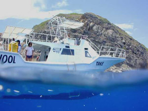 �I�K���ƃ^�P�����