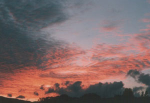 ����Ϥ���Ϥ��줤