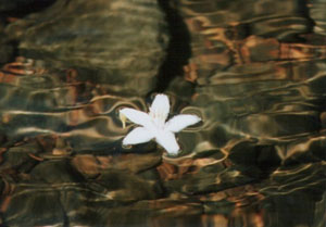 �����β�