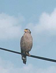 �����ˤ褯�����