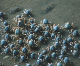 ��������Υ���ĥ�����