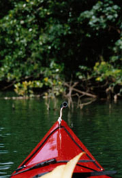 ��������Ф�