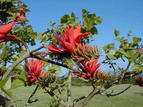 �^���Ԃȃf�C�S