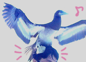 �����[�I