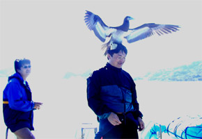 �H�����d���B�B