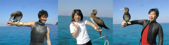 TAKE�A�t�[�A�ЎR���񎊕��̏u��